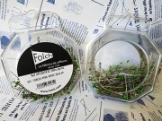 APV305932 ptit